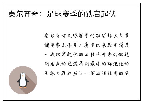 泰尔齐奇：足球赛季的跌宕起伏